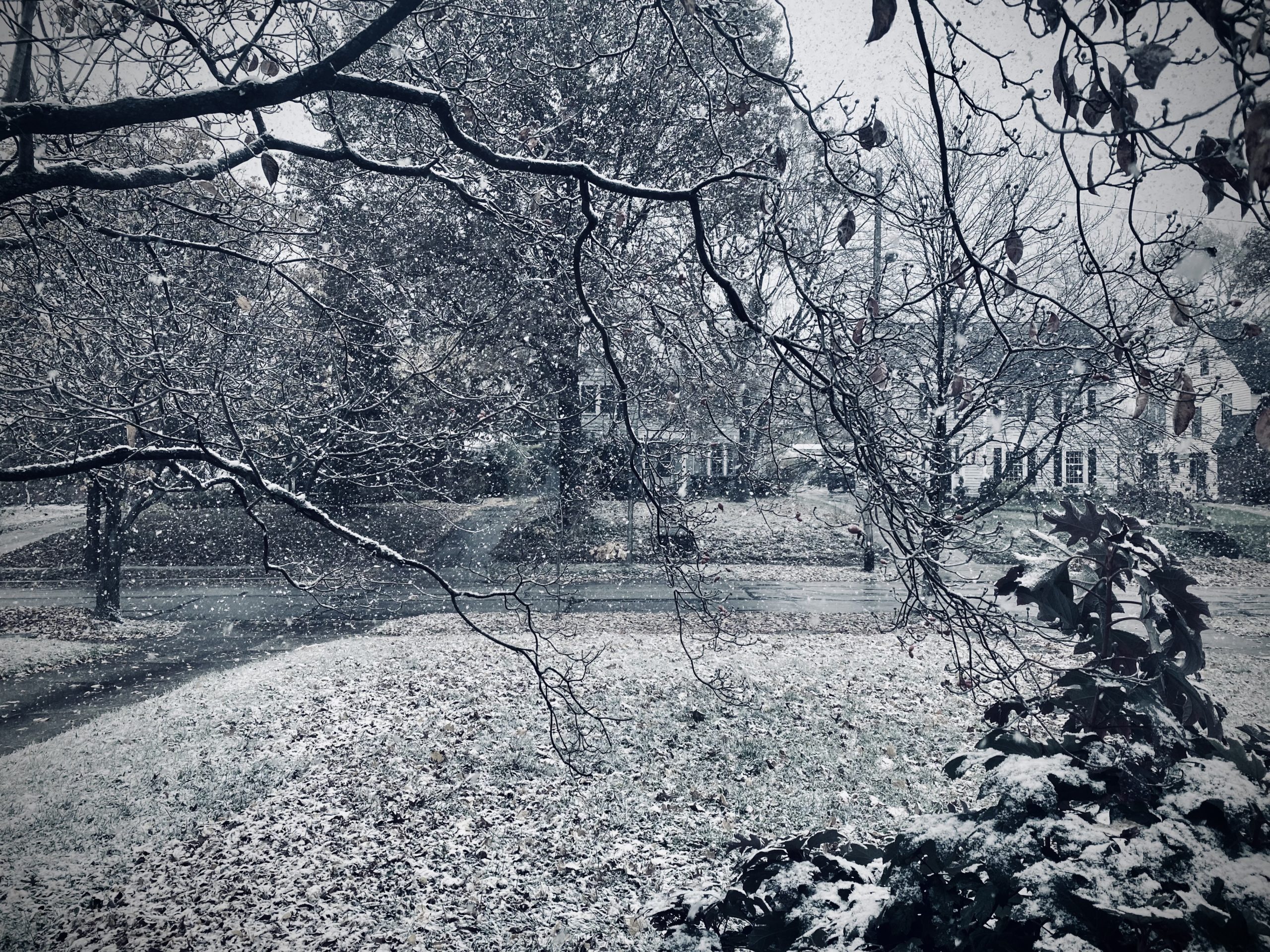 Photo of snow falling from my front dining room window.