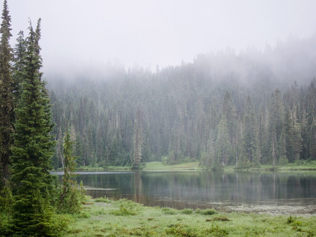 A foggy cloud covered Reflection Lake