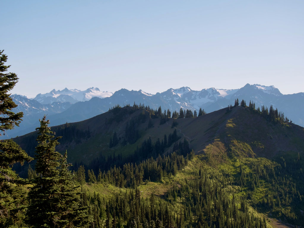 Mount Olympus range as seen from a distant trail