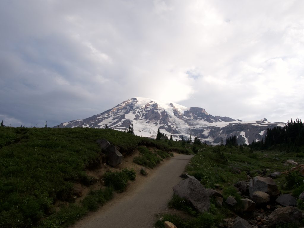 View of Mount Rainier with meadow trail