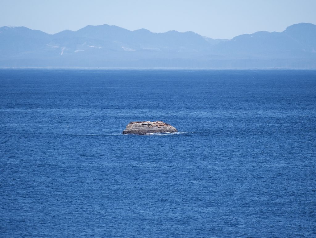 Seals on a distant rock of Cape Flattery with Vancouver Island in the distance