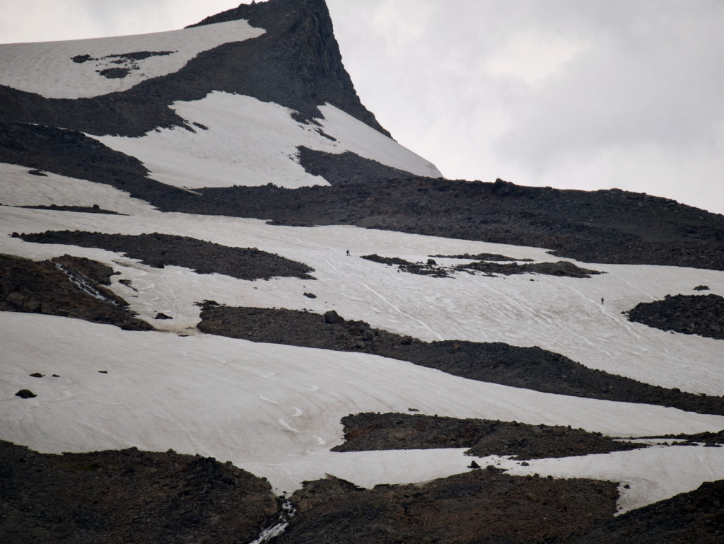 Various people walking or snowboarding on glaciers and snow on Mount Rainier