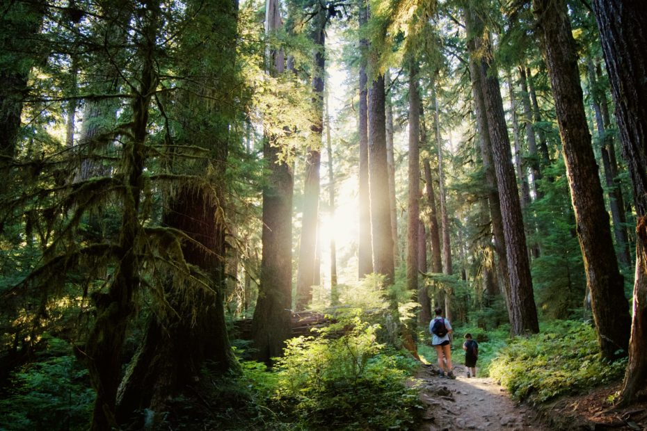 Kids on the Sol Duc Falls Trail of Olympic National Park