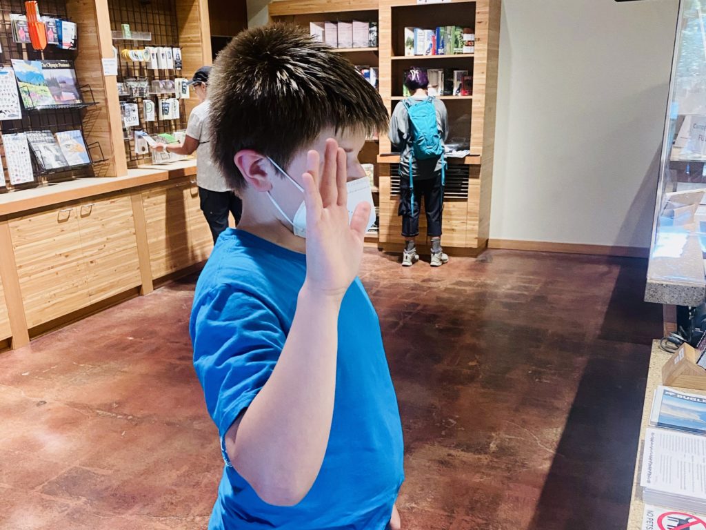 My son being sworn in as a Junior Ranger in Olympic National Park