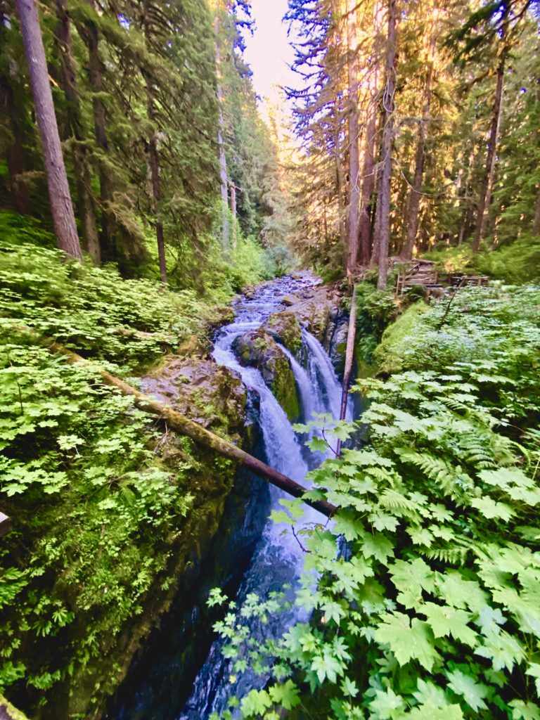 Sol Duc Falls