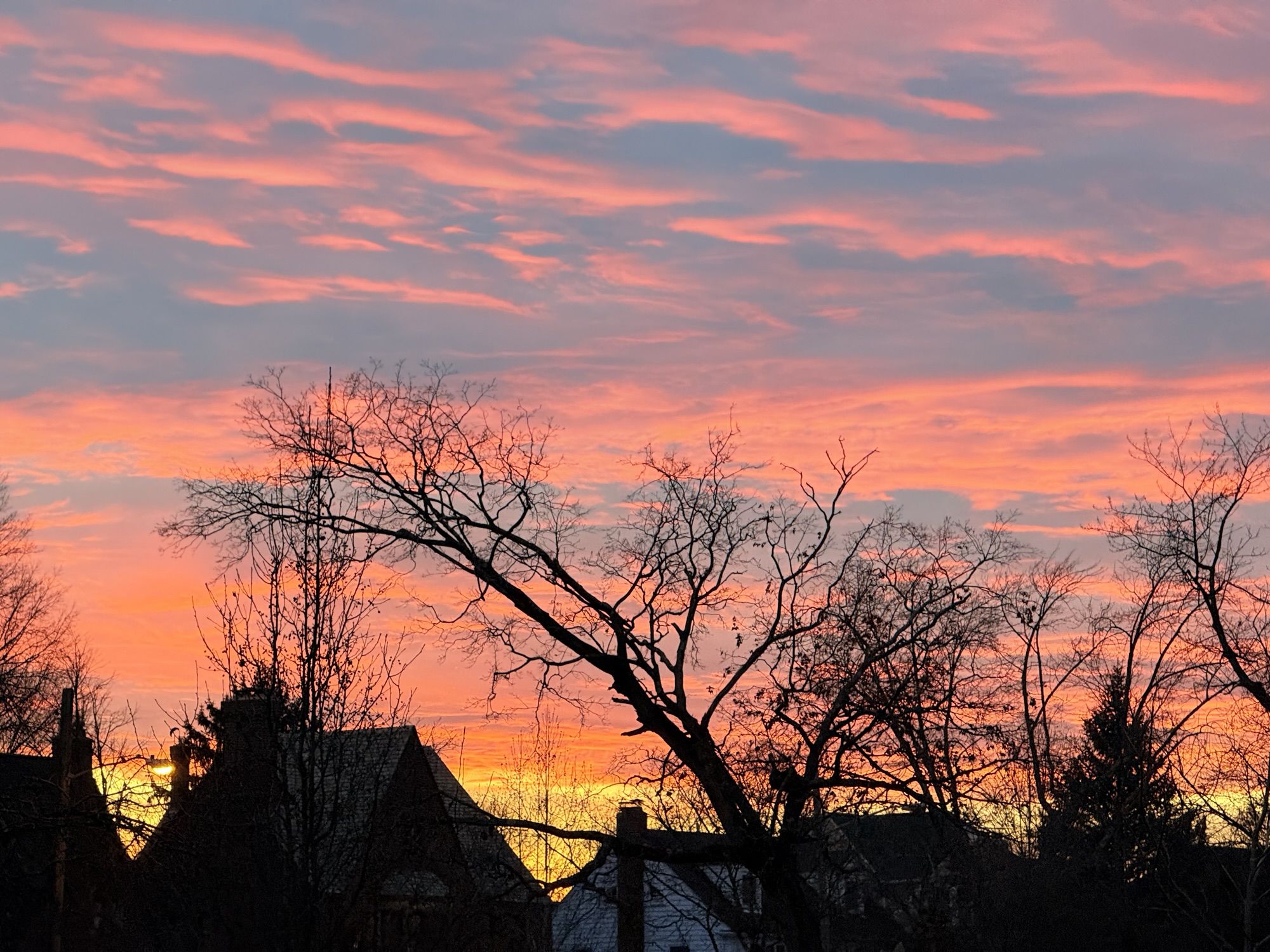 A low cloud shelf sunset of orange, pink, blue and purple over a suburban neighborhood
